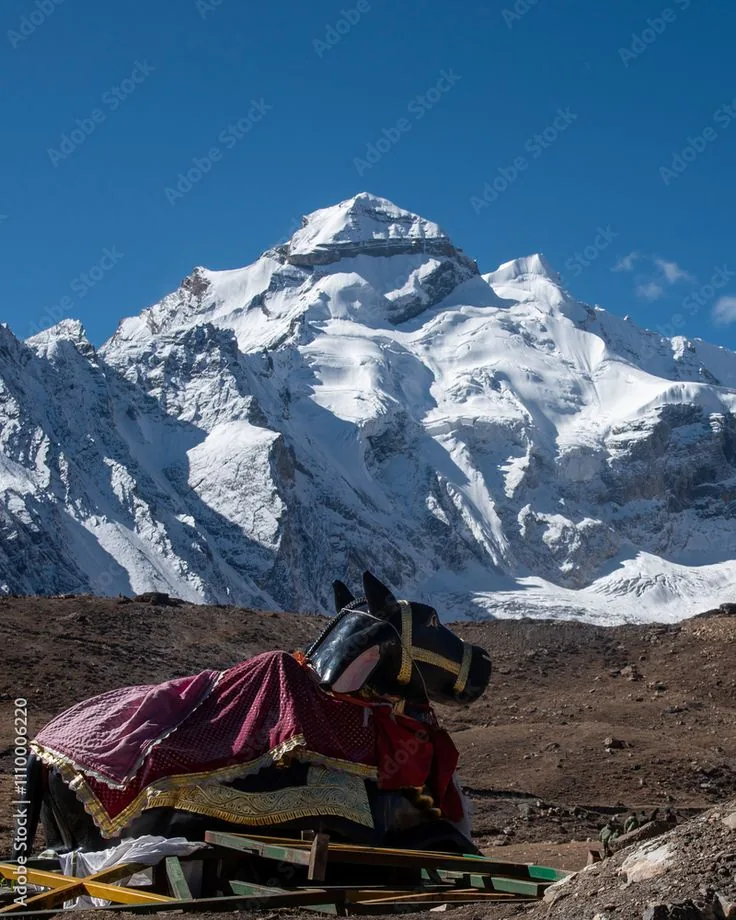 Adi Kailash and Om Parvat